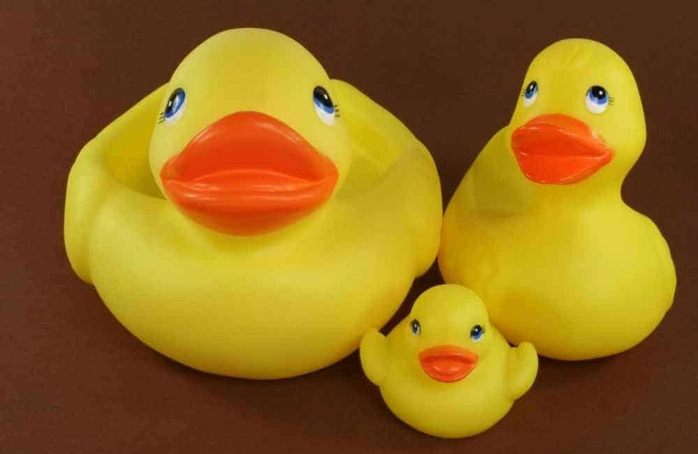 Toys for ducks