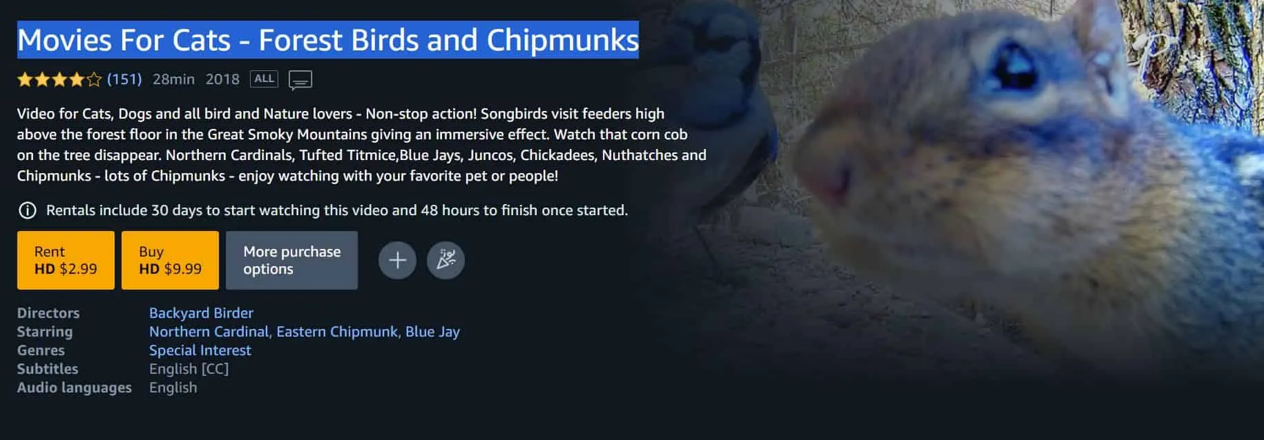 Movies for cats- Forest Birds and Chipmunks