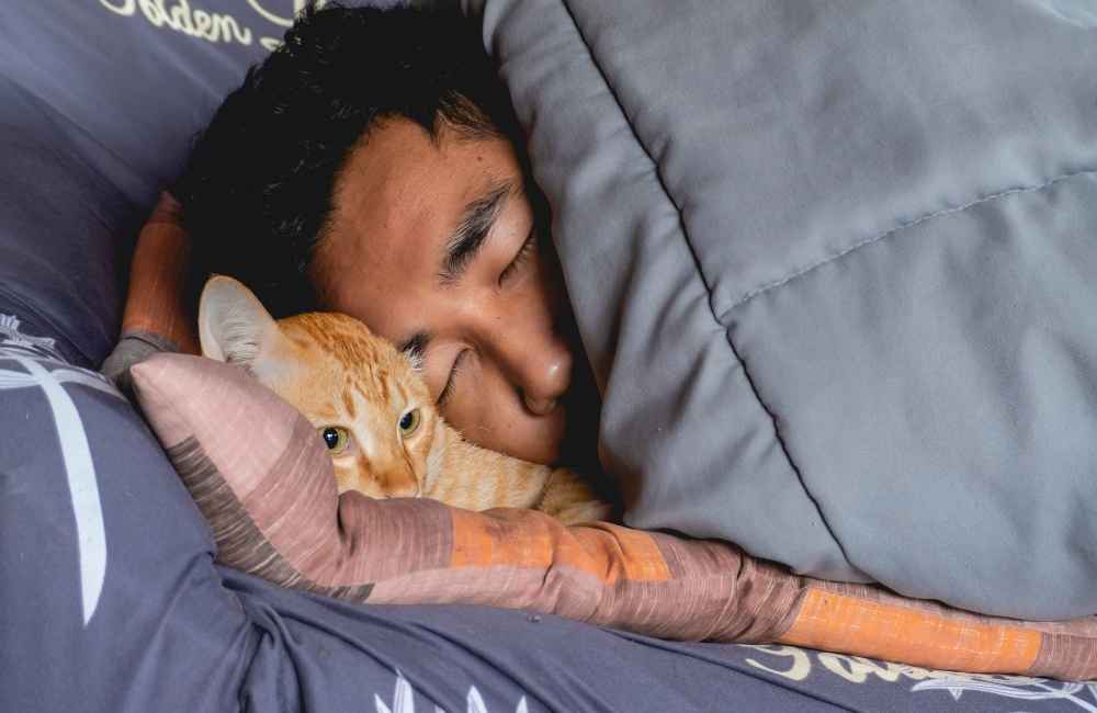 Cat sleeping with human