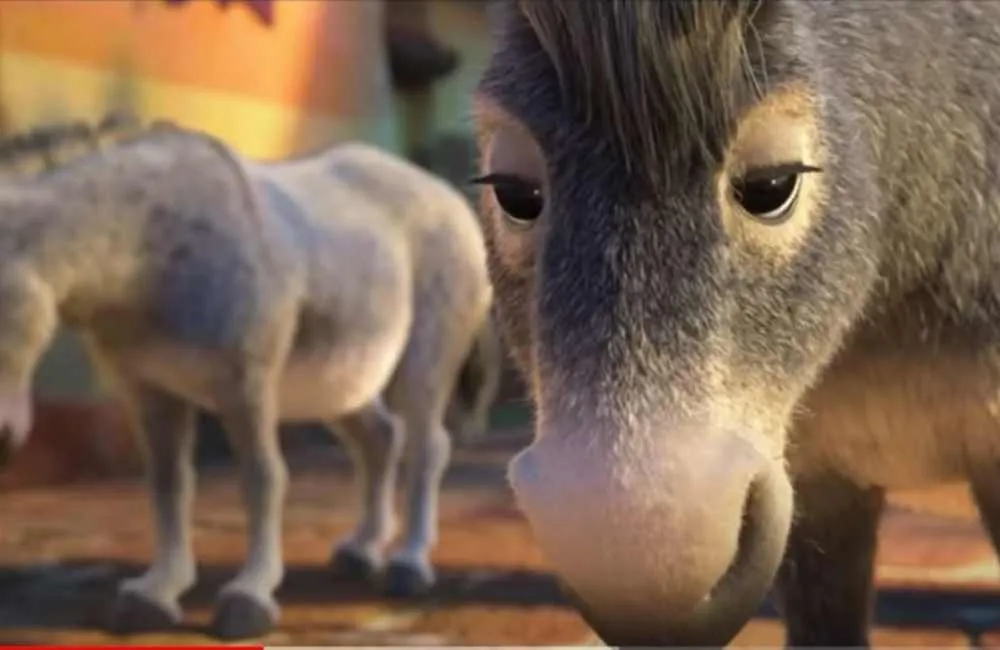 Donkeys in Encanto